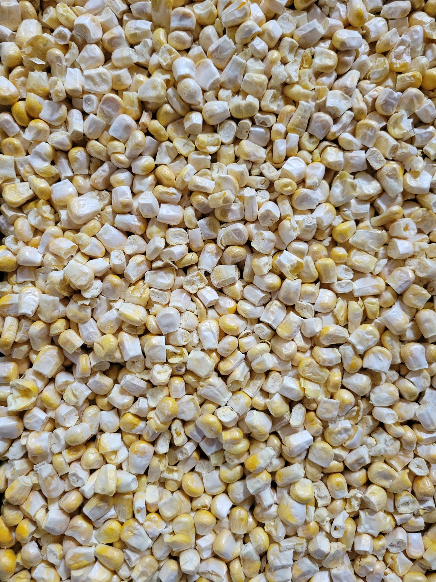 Organic Freeze Dried Corn