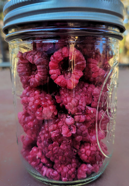 Organic Freeze Dried Raspberries