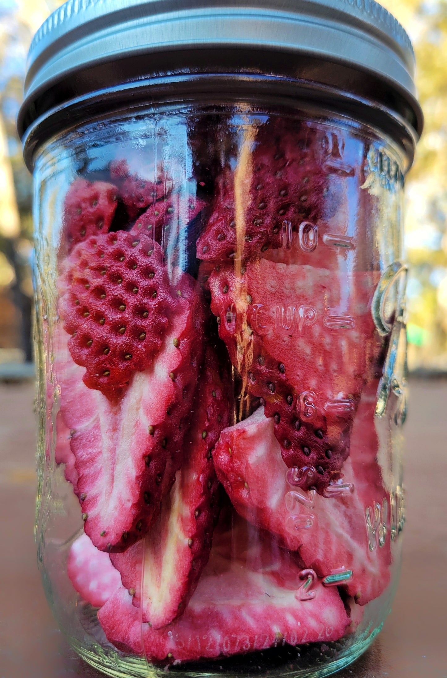 Organic Freeze Dried Strawberries