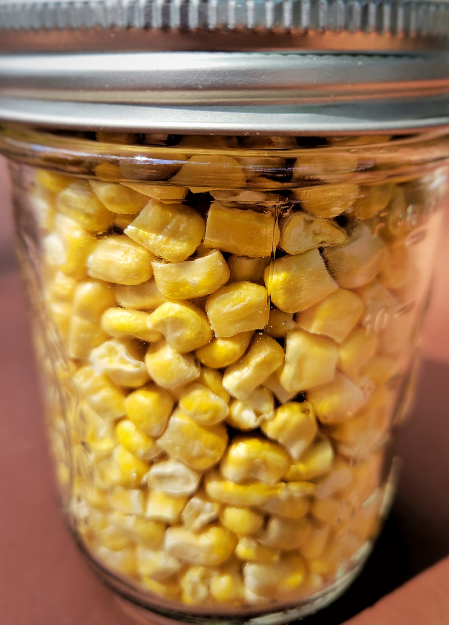 Organic Freeze Dried Corn