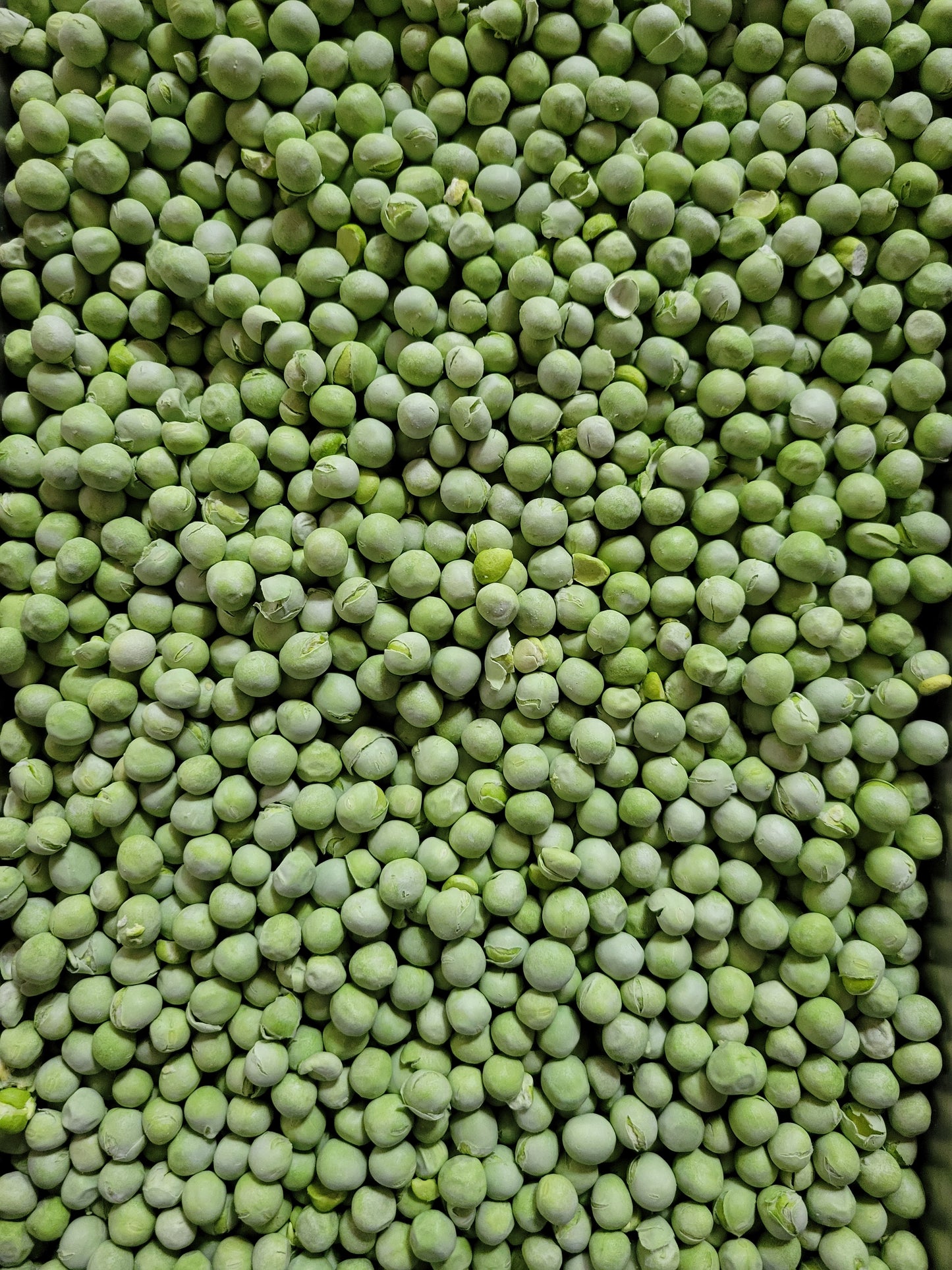 Organic Freeze Dried Peas